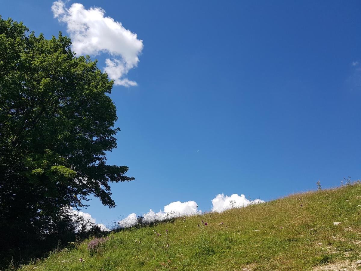 Apartament Donovaly Alonia Zewnętrze zdjęcie